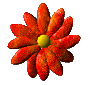 ICQ side